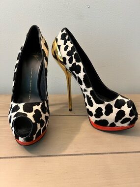 Giuseppe Zanotti